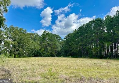 3360 Strickland Avenue Extension, Blackshear, GA 31516 - photo 4