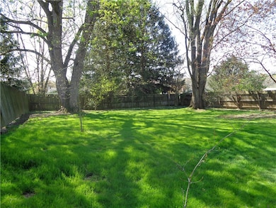 Back yard