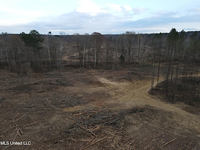 0 Lane Rd, Cascilla, MS 38920 - photo 3