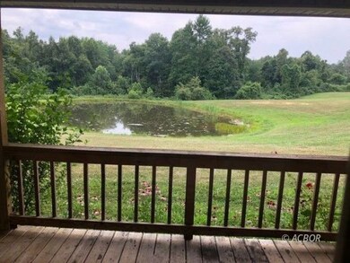 Pond