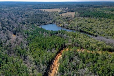 6101 Lake Ella Road Drone 04