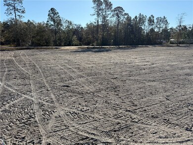 Lot 3 Smith Ln, Waycross, GA 31503 - photo 5