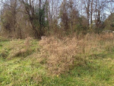 104 Dalewood Dr, Johnson City, TN 37601 - photo 4