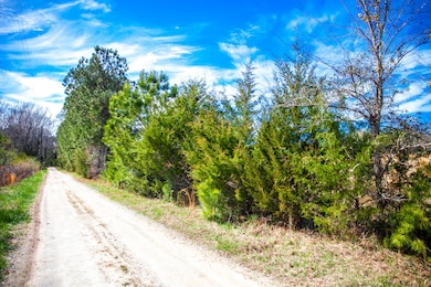 LOT 9 Mistletoe Rd, Appling, GA 30802 - photo 4
