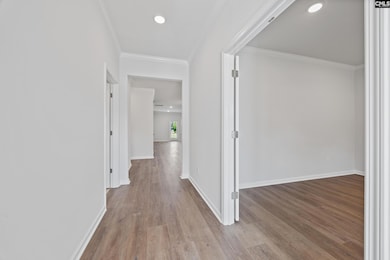 129 Monroe Preserve Dr, Chapin, SC 29036 - photo 4