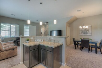 007 Kitchen View