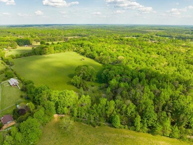 1456 Hadley Mill Rd, Pittsboro, NC 27312 - photo 5
