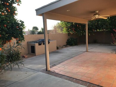 d back yard 3