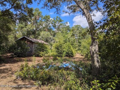 9001 Treiman Blvd, Rdg Mnr Est, FL 33597 - photo 7