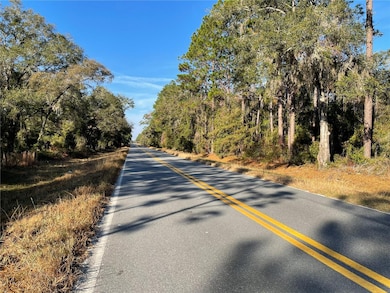 9650 NE 80th St, Bronson, FL 32621 - photo 4