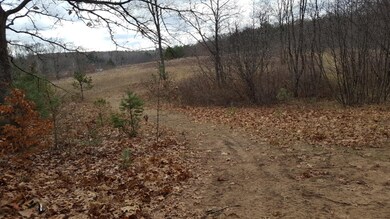 0 N Felch Ave unit 21003119, Sherman Township - Newaygo, MI 49349 - photo 4