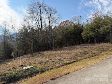 90 Chestertown Dr unit 90, Mill Spring, NC 28756 - photo 3