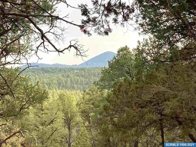 86 Wagon Wheel Ln unit 76 Wagon Wheel Lane, Silver City, NM 88061 - photo 2