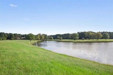 183 Eden Ln, Madison, MS 39110 - photo 6