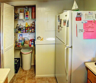 Kitchen pantry