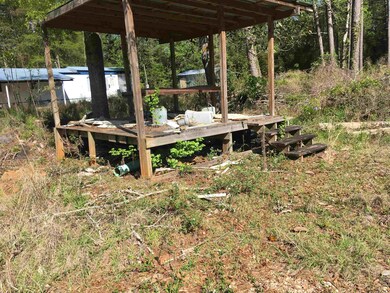 16563 Gantt Lake Rd, Dozier, AL 36028 - photo 2