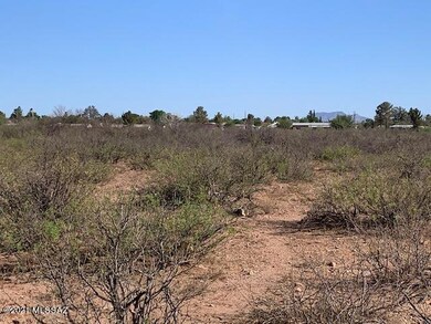 11 Acres N Washington Ave, Douglas, AZ 85607 - photo 6