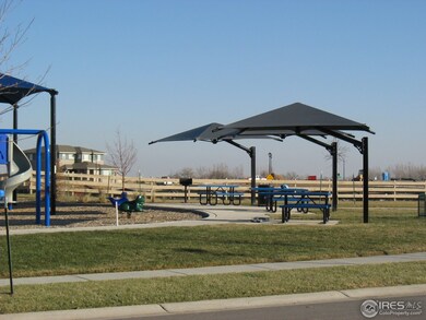 3915 Wild Elm Way, Fort Collins, CO 80528 - photo 5