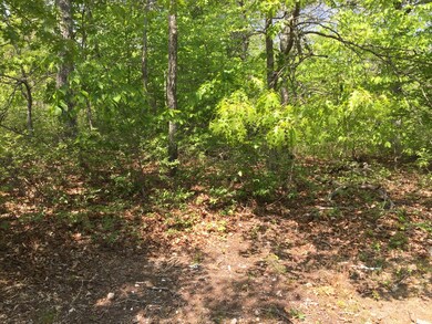 29 Bea Ln, West Tisbury, MA 02575 - photo 3