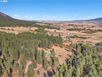 63881 Lester Rd, La Grande, OR 97850 - photo 5