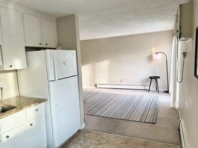 180B River St unit 5, Waltham, MA 02453 - photo 6