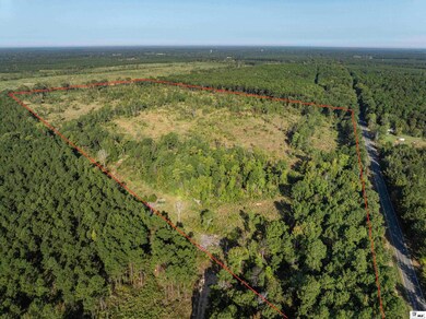 000 Highway 143, Linville, LA 71206 - photo 2