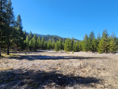 Nhn Happy Acres Ln, Sula, MT 59871 - photo 6