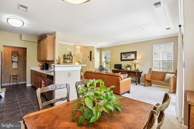 13115 Marcey Creek Rd unit 13115, Herndon, VA 20171 - photo 6