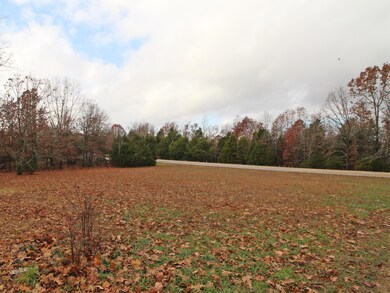 4254 V Hwy, Myrtle, MO 65778 - photo 4