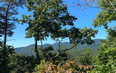 Additional View