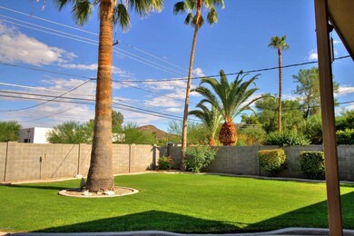 backyard view