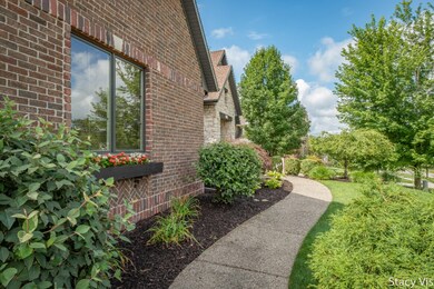 Photo-3