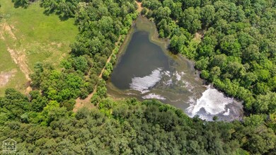 40 Bruce Mitchell Rd, Ravenden Spring, AR 72460 - photo 4