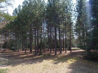 woods