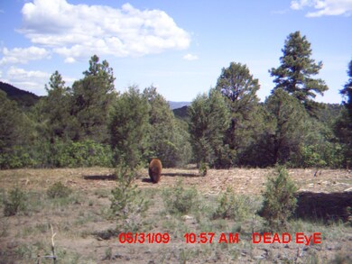 6218 Oak Park Dr unit 25, Trinidad, CO 81082 - photo 7