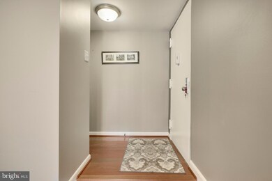 11216 Chestnut Grove Square unit 217, Reston, VA 20190 - photo 3