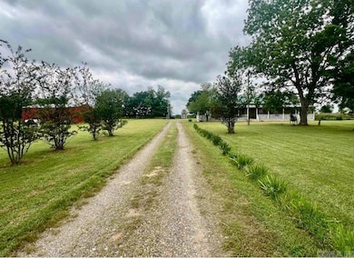 77 Artie Robinson Rd, Gillett, AR 72055 - photo 4