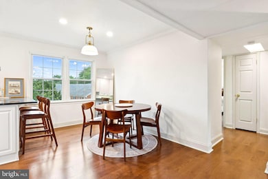 6625 10th St unit C2, Alexandria, VA 22307 - photo 6