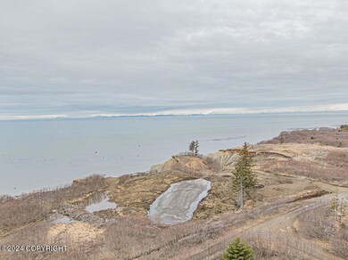 35835 Danver St, Anchor Point, AK 99556 - photo 6