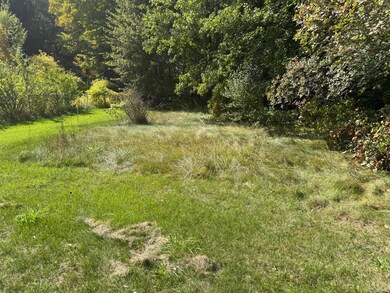 VL Carol St, Newaygo, MI 49337 - photo 4