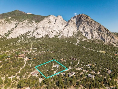 16715 Shadow Ln, Nathrop, CO 81236 - photo 2