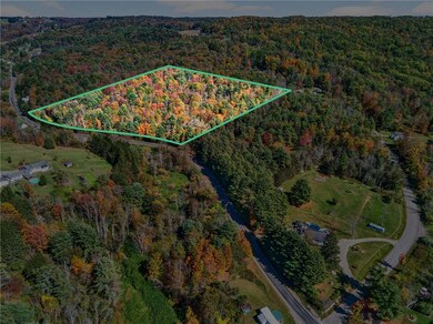 0 Honeypot Rd, Candor, NY 13743 - photo 3