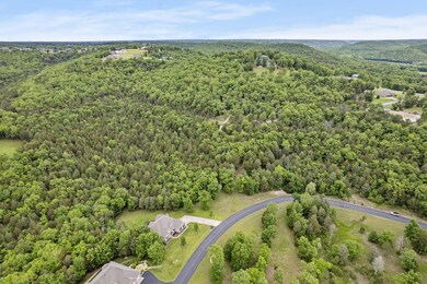 2-web-or-mls-DJI_0148