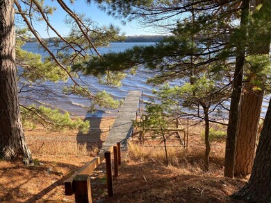 4605 Nelson Lake Ln, Boulder Junction, WI 54512 - photo 3