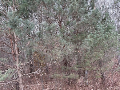 0 Lapeer Rd unit 20251055585, Clyde, MI 48049 - photo 2