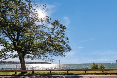 34 Beecher Place, New Haven, CT 06512 - photo 6