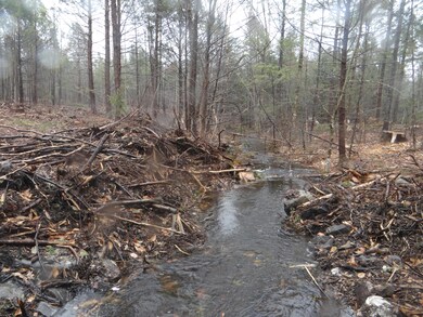 Stream
