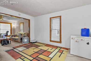 Carpeted bedroom featuring a textured ceiling, white refrigerator, a closet, and an office area