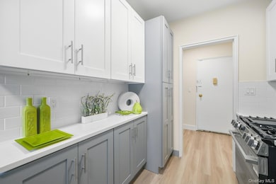 The Devonshire Cooperative Apartments unit 1P, Bronxville, NY 10708 - photo 4