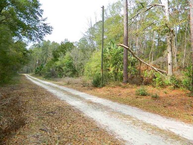 0 Noles Ln unit 302968, Crawfordville, FL 32327 - photo 5